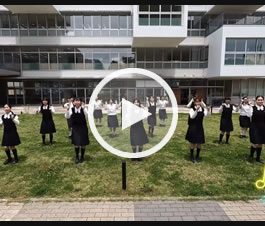 清修動画コーナー